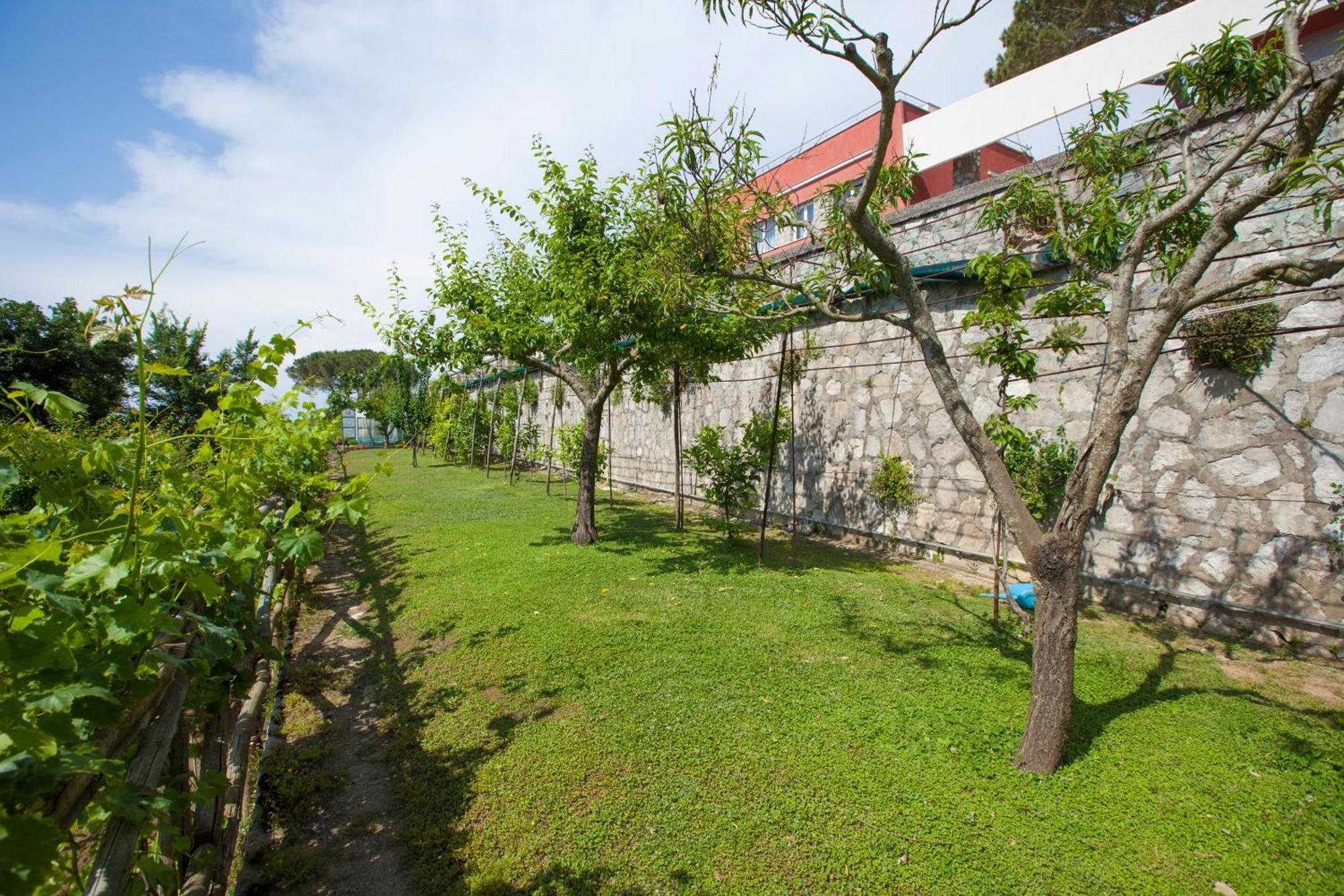 Villa Mambrini Península Sorrentina Exterior foto